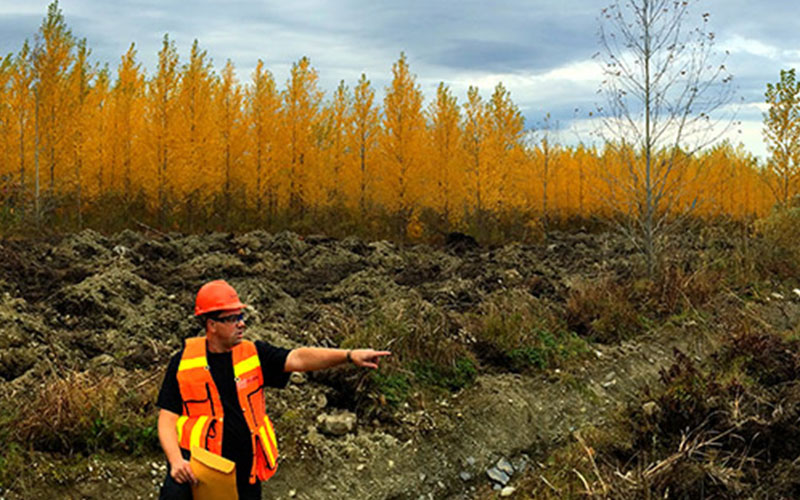 Recycling FRMs in forests on hybrid poplar plantations.