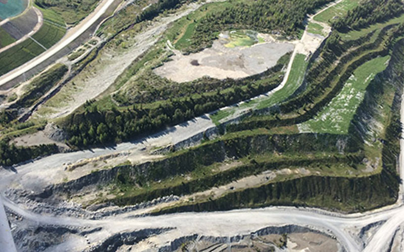 Réhabiliter et reverdir 100 hectares de sol minier stérile : le génie de Viridis en action