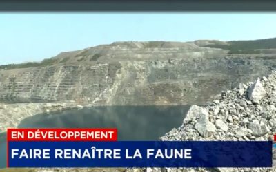 Organic residues to revive the vegetation: Granilake and Viridis Environmental are bringing nature back to life at the Black Lake mine