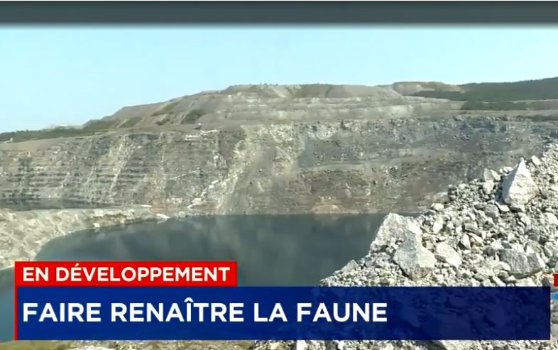 Des MRF pour faire renaître la flore : Granilake et Viridis feront revivre la nature à Black Lake