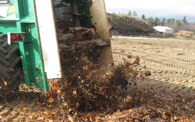 CMI’s Green Fund supports an initiative to develop an innovative approach to recycling dead leaves from the municipal sector.