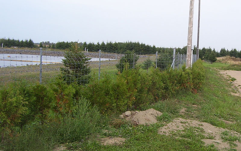 CMI’s Green Fund contributes to the revegetation of a municipal site