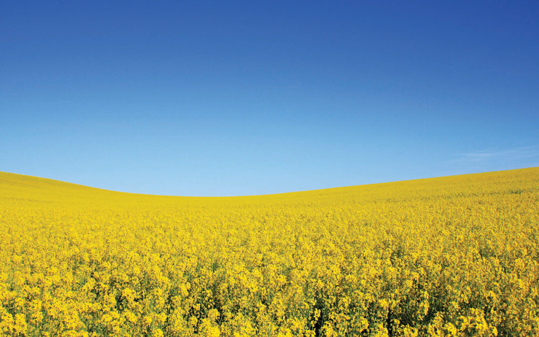 Qui sommes nous - Viridis Environnement