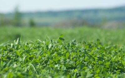 Viridis présent au Salon agricole de la Vallée de l’Outaouais (Ottawa Valley Farm Show)